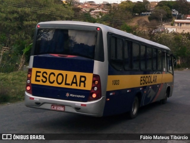 Felippetur Transportes 1003 na cidade de Três Corações, Minas Gerais, Brasil, por Fábio Mateus Tibúrcio. ID da foto: 10331851.