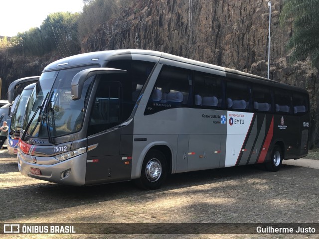 Transportes Capellini 15012 na cidade de Campinas, São Paulo, Brasil, por Guilherme Justo. Número da foto: #10333605.