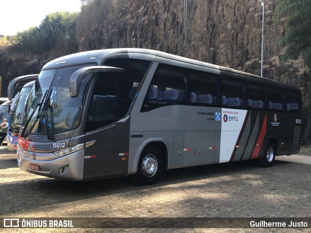 Transportes Capellini 15012 na cidade de Campinas, São Paulo, Brasil, por Guilherme Justo. ID da foto: 10333605.