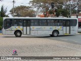 Viação Lira 10011 na cidade de Hortolândia, São Paulo, Brasil, por Henrique Alves de Paula Silva. Número da foto: #10331764.