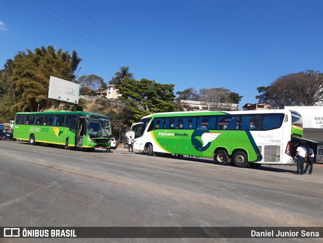 Pássaro Verde 11101 na cidade de Ouro Preto, Minas Gerais, Brasil, por Daniel Junior Sena. Número da foto: #10250648.