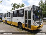 Empresa Metropolitana 239 na cidade de Jaboatão dos Guararapes, Pernambuco, Brasil, por George Miranda. Número da foto: #:id.