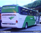 Pássaro Verde 2840 na cidade de Belo Horizonte, Minas Gerais, Brasil, por Moisés Magno. Número da foto: #:id.