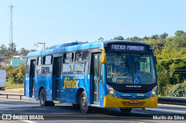 Rápido Expresso Fênix Viação 25124 na cidade de Jarinu, São Paulo, Brasil, por Murilo da Silva. Número da foto: #10253249.