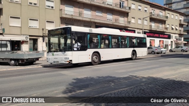 Boa Viagem 0874 na cidade de Lisbon, Lisbon, Portugal, por César de Oliveira. Número da foto: #10253898.