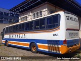 Viação Sertaneja 1250 na cidade de Belo Horizonte, Minas Gerais, Brasil, por Adão Raimundo Marcelino. Número da foto: #10257417.