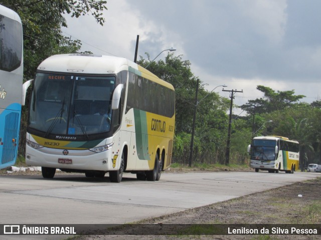 Empresa Gontijo de Transportes 18230 na cidade de Recife, Pernambuco, Brasil, por Lenilson da Silva Pessoa. Número da foto: #10258564.