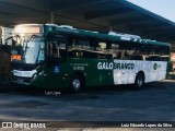 Viação Galo Branco RJ 181.036 na cidade de Niterói, Rio de Janeiro, Brasil, por Luiz Eduardo Lopes da Silva. Número da foto: #10260351.