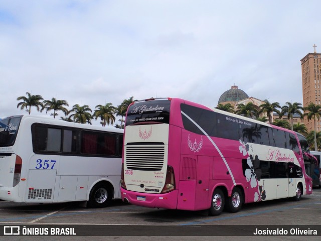 A Gladiadora Turismo 3636 na cidade de Aparecida, Paraíba, Brasil, por Josivaldo Oliveira. Número da foto: #10336624.