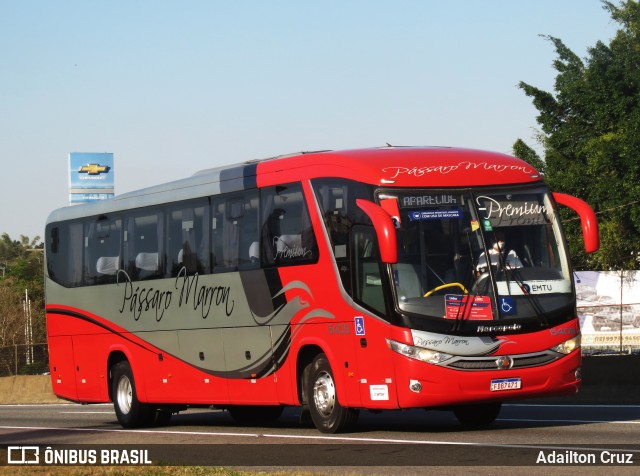 Empresa de Ônibus Pássaro Marron 5409 na cidade de Guaratinguetá, São Paulo, Brasil, por Adailton Cruz. Número da foto: #10367097.
