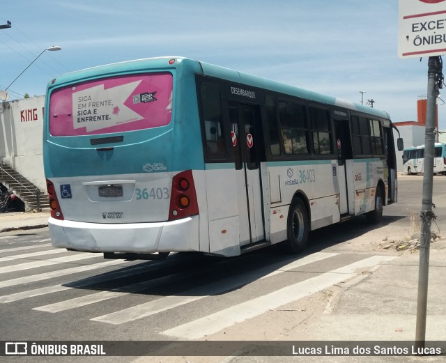 Viação Santa Cecília 36403 na cidade de Fortaleza, Ceará, Brasil, por Lucas Lima dos Santos Lucas. Número da foto: #10366065.