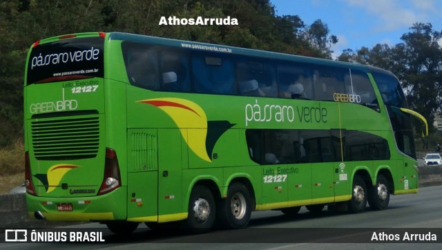 Pássaro Verde 12127 na cidade de Belo Horizonte, Minas Gerais, Brasil, por Athos Arruda. Número da foto: #10368030.