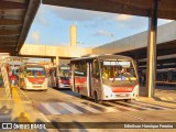 Pêssego Transportes 4 7312 na cidade de São Benedito, Ceará, Brasil, por Edinilson Henrique Ferreira. Número da foto: #:id.