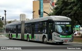 Viação Santa Brígida 1 1110 na cidade de São Paulo, São Paulo, Brasil, por Francisco Ivano. Número da foto: #10366390.