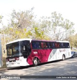 Sabadini Transportes 1004 na cidade de Atibaia, São Paulo, Brasil, por Andre Santos de Moraes. Número da foto: #10367832.