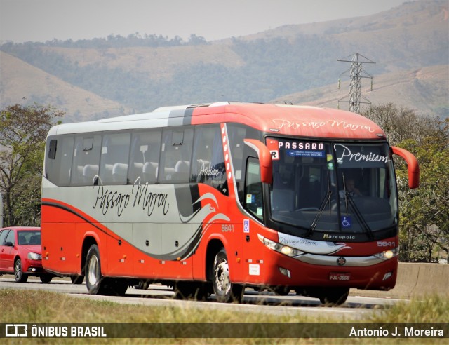 Empresa de Ônibus Pássaro Marron 5641 na cidade de Roseira, São Paulo, Brasil, por Antonio J. Moreira. Número da foto: #10368891.