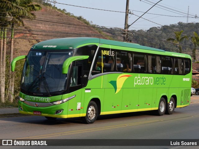 Pássaro Verde 19152 na cidade de Viçosa, Minas Gerais, Brasil, por Luis Soares. ID da foto: 10369215.