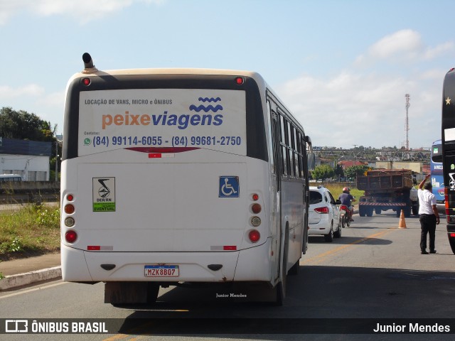 Peixe Viagens 4620 na cidade de Goianinha, Rio Grande do Norte, Brasil, por Junior Mendes. Número da foto: #10368975.