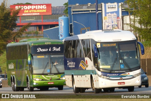 Piccolotur Transportes Turísticos 3830 na cidade de São José dos Campos, São Paulo, Brasil, por Everaldo Bordini. Número da foto: #10368841.