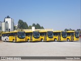 Empresa São Gonçalo  na cidade de Contagem, Minas Gerais, Brasil, por Henrique Simões. Número da foto: #:id.