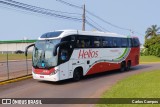 Helios Coletivos e Cargas 352 na cidade de Cascavel, Paraná, Brasil, por Carlos Campos. ID da foto: :id.