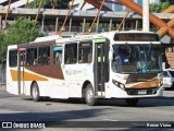 Erig Transportes > Gire Transportes B63029 na cidade de Rio de Janeiro, Rio de Janeiro, Brasil, por Renan Vieira. Número da foto: #10369417.