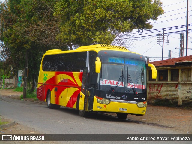 Talmocur 32 na cidade de Curicó, Curicó, Maule, Chile, por Pablo Andres Yavar Espinoza. Número da foto: #10374029.