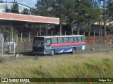 Ônibus Particulares  na cidade de Imbituva, Paraná, Brasil, por Felipe  Dn. Número da foto: #:id.