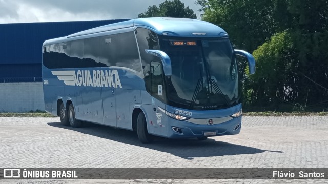 Viação Águia Branca 28250 na cidade de Cruz das Almas, Bahia, Brasil, por Flávio  Santos. Número da foto: #10379324.
