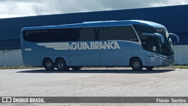 Viação Águia Branca 28250 na cidade de Cruz das Almas, Bahia, Brasil, por Flávio  Santos. Número da foto: #10379322.