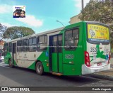 Padova Coletivos 3520 na cidade de Campinas, São Paulo, Brasil, por Danilo Augusto. Número da foto: #10379520.