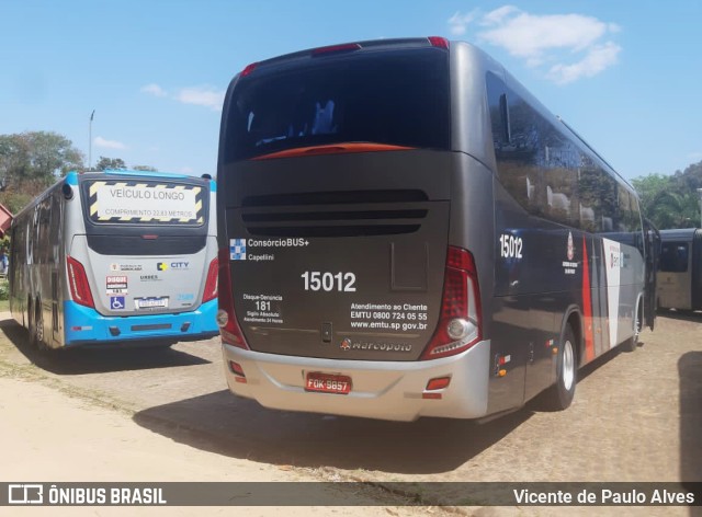 Transportes Capellini 15012 na cidade de Campinas, São Paulo, Brasil, por Vicente de Paulo Alves. ID da foto: 10382231.