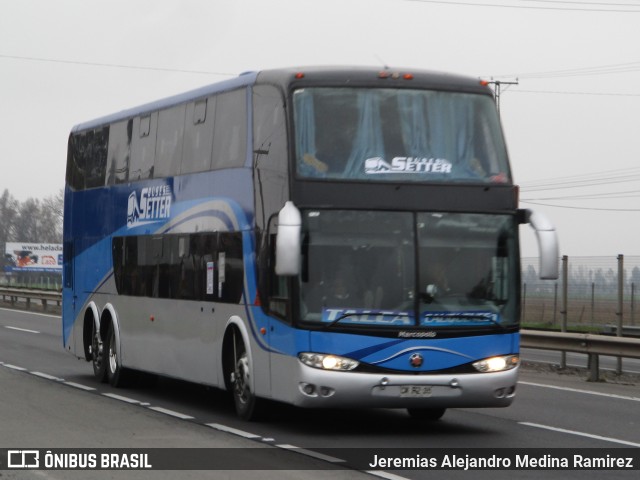 Pullman Setter  na cidade de Chimbarongo, Colchagua, Libertador General Bernardo O'Higgins, Chile, por Jeremias Alejandro Medina Ramirez. Número da foto: #10387235.
