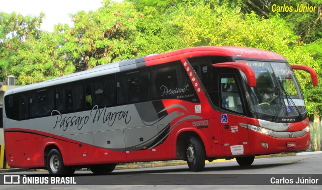 Empresa de Ônibus Pássaro Marron 5650 na cidade de São Paulo, São Paulo, Brasil, por Carlos Júnior. ID da foto: 10389670.