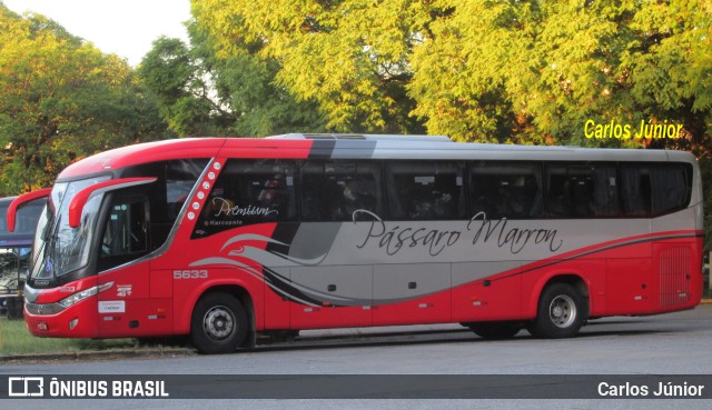 Empresa de Ônibus Pássaro Marron 5633 na cidade de São Paulo, São Paulo, Brasil, por Carlos Júnior. Número da foto: #10389691.