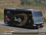 Rosa Chic Turismo 8010 na cidade de Juiz de Fora, Minas Gerais, Brasil, por Luiz Krolman. Número da foto: #10390429.