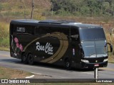 Rosa Chic Turismo 8010 na cidade de Juiz de Fora, Minas Gerais, Brasil, por Luiz Krolman. ID da foto: :id.