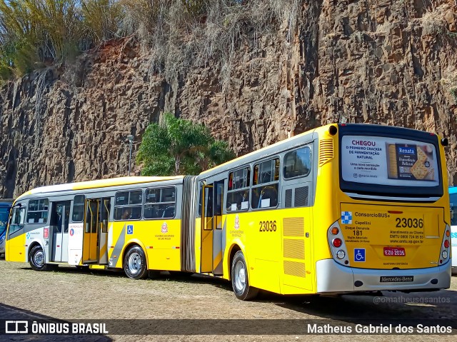 Transportes Capellini 23036 na cidade de Campinas, São Paulo, Brasil, por Matheus Gabriel dos Santos. Número da foto: #10392833.