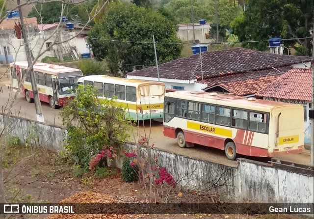 Van Transportes 7202 na cidade de Ataléia, Minas Gerais, Brasil, por Gean Lucas. ID da foto: 10391414.