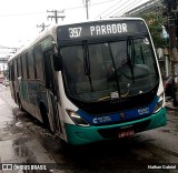Transportes Campo Grande D53617 na cidade de Rio Grande do Norte, Brasil, por Nathan Gabriel. Número da foto: #10392174.
