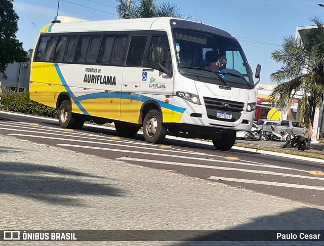 Prefeitura Municipal de Auriflama S/n na cidade de Araçatuba, São Paulo, Brasil, por Paulo Cesar. ID da foto: 10396076.