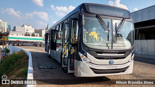 Salvadora Transportes > Transluciana 40894 na cidade de Belo Horizonte, Minas Gerais, Brasil, por Nilson Brandão Alves. Número da foto: #10397304.