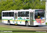 Sudeste Transportes Coletivos 3066 na cidade de Porto Alegre, Rio Grande do Sul, Brasil, por Wellington Machado. Número da foto: #:id.