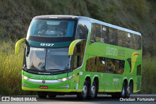 Pássaro Verde 12127 na cidade de Coimbra, Minas Gerais, Brasil, por Christian  Fortunato. ID da foto: 10340197.