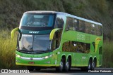 Pássaro Verde 12127 na cidade de Coimbra, Minas Gerais, Brasil, por Christian  Fortunato. Número da foto: #10340197.