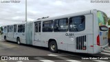 Auto Viação Santo Antônio CL601 na cidade de Curitiba, Paraná, Brasil, por Lucas Weber Calizario. Número da foto: #:id.
