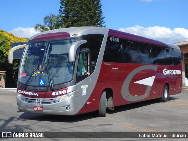 Expresso Gardenia 4230 na cidade de Três Corações, Minas Gerais, Brasil, por Fábio Mateus Tibúrcio. Número da foto: #10398237.