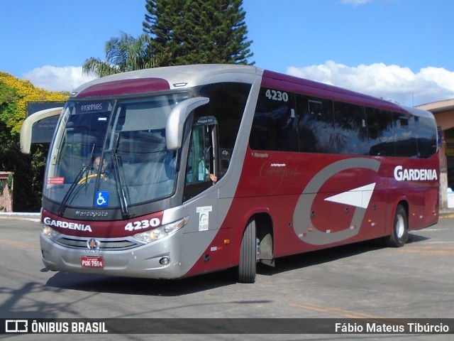 Expresso Gardenia 4230 na cidade de Três Corações, Minas Gerais, Brasil, por Fábio Mateus Tibúrcio. ID da foto: 10398237.