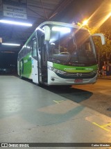 Setelagoano 11098 na cidade de Pedro Leopoldo, Minas Gerais, Brasil, por Carlos Mendes. Número da foto: #10398838.