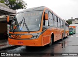 Auto Viação Santo Antônio CA600 na cidade de Curitiba, Paraná, Brasil, por Hipólito Rodrigues. Número da foto: #:id.